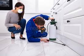 Best Real Estate Pest Inspections  in Los Alamos, NM